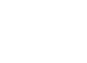 SHAKE JUNT